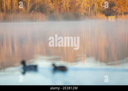 See von Banyoles (Estany de Banyoles) bei Sonnenaufgang. Banyoles, El Pla de l'Estany, Girona, Katalonien, Spanien, Europa Stockfoto