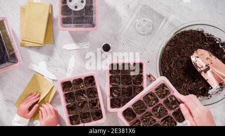 Flach liegend. Kleines Mädchen hilft Pflanzen Samen in Saatgutvermehrer mit Boden. Stockfoto