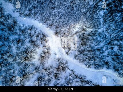 Luftaufnahme des Waldes im Winter mit Fußspuren auf dem Weg in Asturien, Spanien. Stockfoto