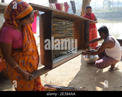 Familienmitglieder von palmsaftsammlern machen im Dorf Mohanbhog aus palmsaft Zacken. Agartala, Tripura, Indien. Stockfoto