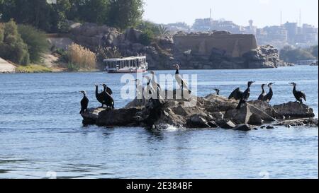 Ägypten - Philae Tempel - Assuan - Nubisches Dorf Stockfoto