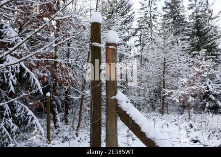 Weiße Schneekappen an den Zaunpfosten. Stockfoto