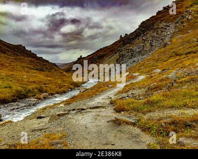 Denali, Alaska, USA: 5. September 2016: Panorama des Savage River Canyon. Stockfoto