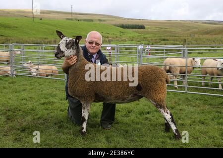 Muirkiirk, East Ayrshire, Schottland, Großbritannien, Village landwirtschaftliche Show, lokale Bauern und ihre Familien treffen und konkurrieren mit Vieh, Schafe und Rinder auf der Ausstellung. Landwirt mit preisgekrönten Schafen Stockfoto