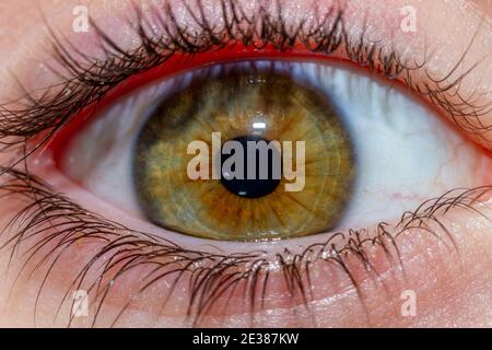 Rechtes Auge eines Mädchens mit grünen und braunen Iris. Stockfoto