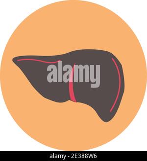 Leber Symbol Vektor Illustration Design auf einem Pfirsich Hintergrund.Leber Zeichen Symbol Seite Symbol für Ihre Website-Design-Logo, App, UI. Vektorgrafik Stock Vektor