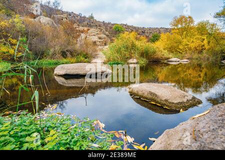 Ein schneller, flacher, sauberer Bach fließt zwischen glatten nassen großen Steinen, umgeben von hohen trockenen Klumpen, die im Wind im malerischen Ukraine schwanken Stockfoto