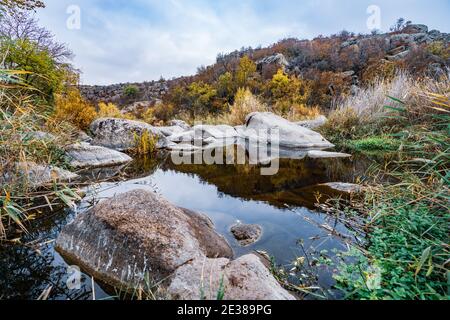Ein schneller, flacher, sauberer Bach fließt zwischen glatten nassen großen Steinen, umgeben von hohen trockenen Klumpen, die im Wind im malerischen Ukraine schwanken Stockfoto