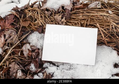 Winter Schreibwaren Stillleben. Nahaufnahme der horizontalen leeren Grußkarte, Einladung auf gefrorenem Boden. Trockenes Gras und Herbstblätter mit Schnee. Im Freien Stockfoto