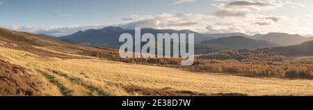 Cairngorms National Park im Herbst: Ein Track über Moorland hinunter in das Silver Birch Woodland von Glen Feardar, mit Lochnagar in The Distance Stockfoto