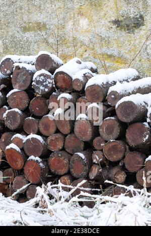 Ein verschneite Holzschnitzelstapel Stockfoto