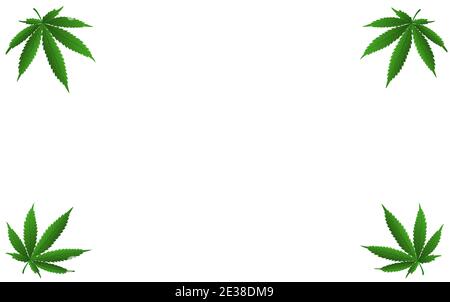 Blank für Designer mit Kopie Gewürz mit Marihuana-Blättern auf weißem Hintergrund. Vektorgrafik. Stock Vektor