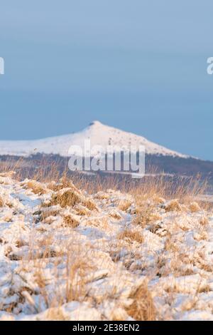 Ein Blick über schneebedecktes Grasland Richtung Bennachie auf einem Winterlicher Morgen in Aberdeenshire Stockfoto