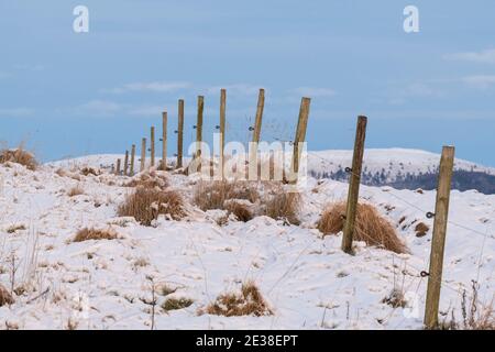 Schneebedeckte raue Weide mit einem elektrischen Zaun, der sich überrollt Der Hang zum Horizont Stockfoto