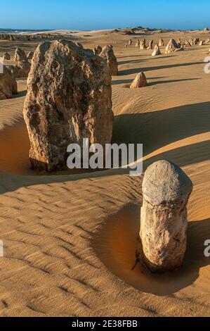 Die Western Australian Pinnacles Wüste, im Nambung National Park in der Nähe von Cervantes, aufgenommen unter spätnachmittäglichem Licht. Stockfoto