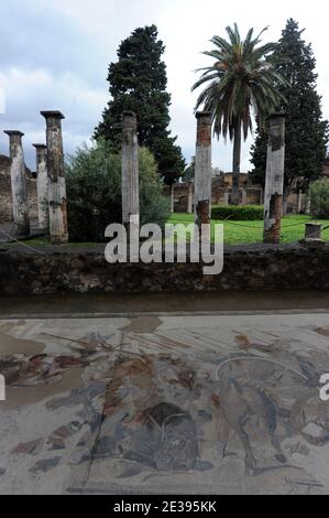 Ein Blick auf das Haus des Faun in Pompeji, Süditalien am 25. November 2010. Auf dem Boden ein Mosaik, das den Sieg Alexanders des Großen über Darius, König von Persien, darstellt.die antike römische Stadt Pompeji, die vor 2,000 Jahren in vulkanischer Asche aufbewahrt wurde, leidet unter Verfall. Archäologen sagen, dass es durch Vandalismus, Verschmutzung und Vernachlässigung ruiniert wird. Ihre Schätze sind nun in großer Gefahr, für immer verloren zu sein. Am 6. November brach Pompejis Haus der Gladiatoren zusammen und der Rest der außergewöhnlichen antiken Stadt befindet sich in einem gefährlichen Zustand. Pompeji wurde 79 n. Chr. durch einen Ausbruch des Vesuv zerstört Stockfoto