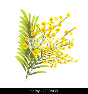 Bouquet von Mimosen. Vektorgrafik Stock Vektor