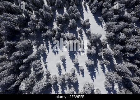 Ariel Blick auf einen schneebedeckten Pinienwald In den französischen Alpen Stockfoto