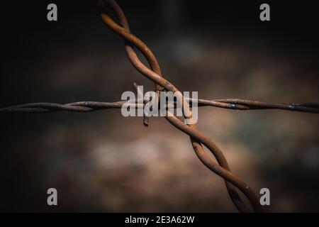 Nahaufnahme von verrosteten Stacheldraht-Zaundrähten, die sich kreuzen Stockfoto