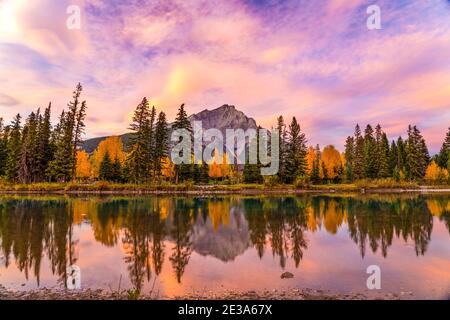 Banff National Park wunderschöne Naturkulisse bei Sonnenaufgang im Herbstlaub. Feurig rosa Wolken, Cascade Mountain reflektiert auf Bow River. Kanadische Rockies. Stockfoto