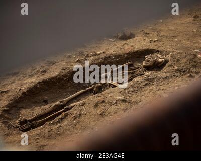 Nahaufnahme eines menschlichen Skeletts bleibt Knochen Schädel bei Eine Ausgrabungsstätte Archäologie Mailand Lombardei Italien in Europa Stockfoto