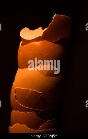 Ein farbenfroher Stapel hellbrauner Eierschalen wird von oben vor einem dunklen Hintergrund scharf beleuchtet. Stockfoto