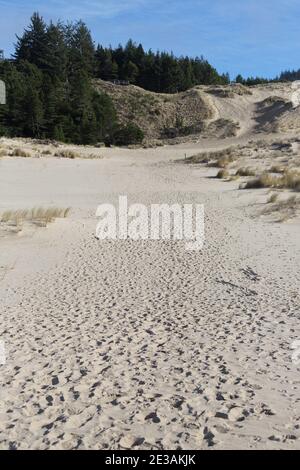 Fußspuren im Sand auf einem Wanderweg im Oregon Dunes National Recreation Area an der zentralen Küste von Oregon, USA. Stockfoto