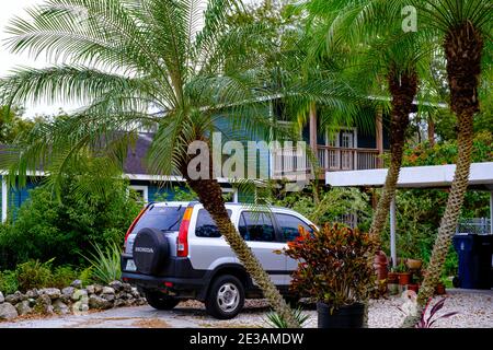 Palmen in der Auffahrt von gentrified Haus - Seminole Heights Nachbarschaft, Tampa, Florida Stockfoto