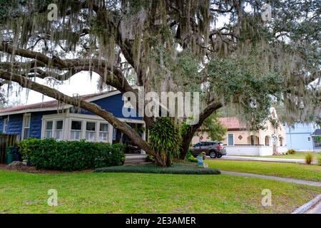 Gentrified House - Seminole Heights Neighborhood, Tampa, Florida Stockfoto