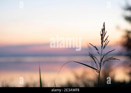 Lange Exposition Vanille bunten Himmel und See Reflexion mit Bergen im Hintergrund. Wildgras weht im Wind im Vordergrund Stockfoto