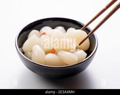 Japanische Rakkyo mit Essstäbchen auf weißem Hintergrund halten Stockfoto