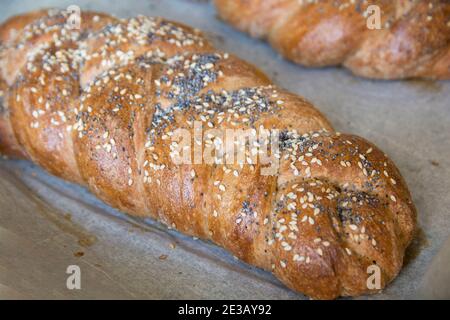 Traditionelles gebackenes Challah-Brot aus Dinkelmehl, mit Belag aus Sesam und Mohn Stockfoto