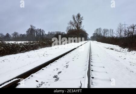 Eisenbahnschienen mit Schnee bedeckt, die im Winter durch den Wald führen. Stockfoto