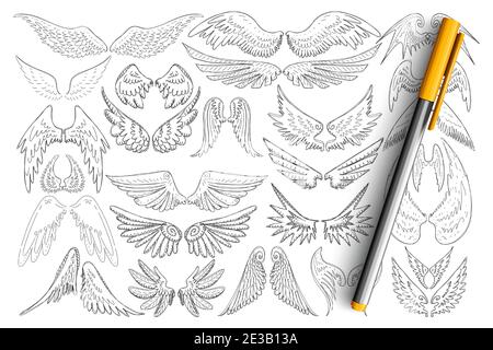 Vogel Flügel Muster Doodle Set. Sammlung von handgezeichneten eleganten Flügeln von verschiedenen Vögeln im Stil von Tattoo isoliert auf transparentem Hintergrund. Illustration der dekorativen Flügel Konzept Stock Vektor