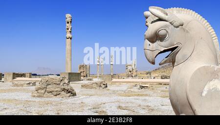 Steinskulptur von griffin und Säulen des Apadana-Palastes, erbaut von Darius dem großen, Persepolis, Iran. UNESCO-Weltkulturerbe Stockfoto