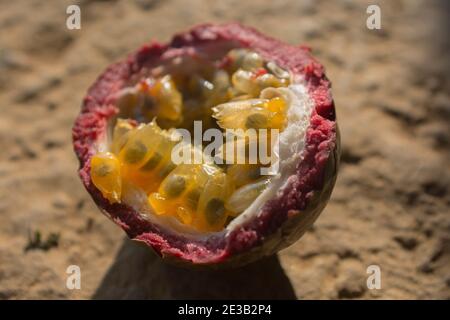 Nahaufnahme einer halbierten Passionsfrucht (Passiflora edulis) Bei natürlichem Sonnenlicht Stockfoto