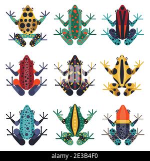 Tropical Poison Dart Frogs in Flat gesetzt Stock Vektor