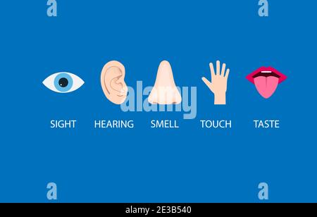 Symbol für menschliche Sinne. Vektorgrafik, Stock Vektor