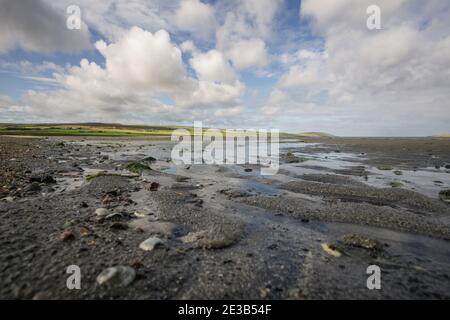 Blick auf die Sands of Evie in Aikerness Bay bei Ebbe. Die Bucht liegt an der Küste des Eynhallow Sound an der Nordwestküste des Festlandes Orkney, Schottland Stockfoto