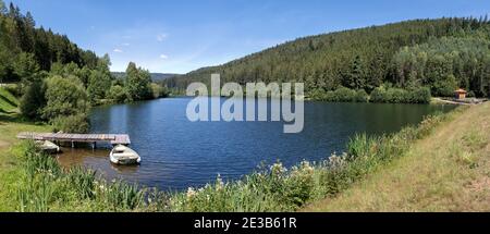 Obersee des Damms Nagoldtalsperre im Schwarzwald, Deutschland Stockfoto