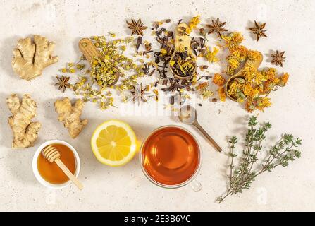 Tasse frisch gebrühtes Obst und Kräutertee mit Honig, Zitrone und Ingwer. Gesundes Konzept. Trend harter Schatten Stockfoto