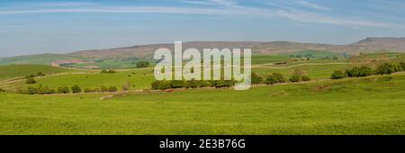 Landschaft bei Smardale, Cumbria, England, Großbritannien Stockfoto