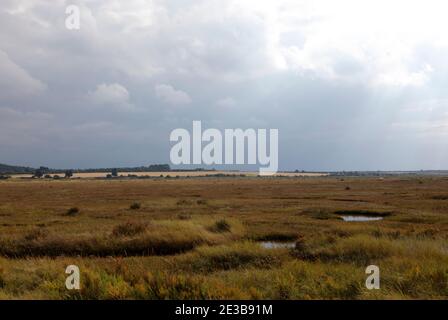Salt Marshes von Stiffkey, Norfolk, England, Großbritannien Stockfoto