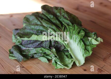 Manba, Gemüse in der Präfektur Kagawa, Japan Stockfoto