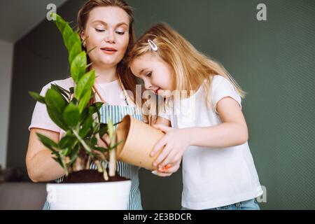 Familie der jungen blonden Frau und 5 Jahre altes Mädchen Transplantation Innenpflanzen zu Hause. Mutter und Tochter verbringen Zeit zusammen, Hausgartenarbeit. Stockfoto