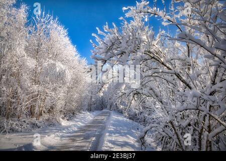 DE - BAYERN: Winterszene in Buchberg bei Bad Tölz (HDR-Bild) Stockfoto