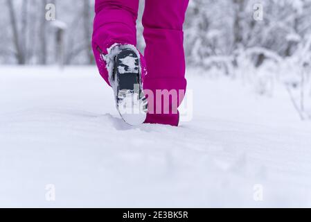 Frauen wandern im Winterwald durch Schnee in Wanderschuhen Stiefel. Winterwandern. Stockfoto