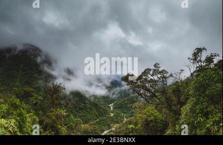 Wolkenwald in Peru, Panoramablick auf den tropischen Dschungel am Nordosthang des Andengebirges. Stockfoto