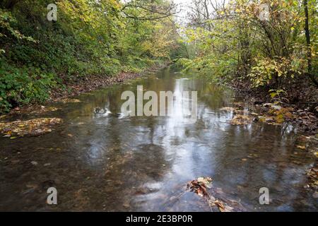 Der Fluss Wylye in Great Wishford in Wiltshire. Stockfoto