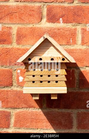 Ein Bienenhaus, das an einer Gartenwand befestigt ist Stockfoto